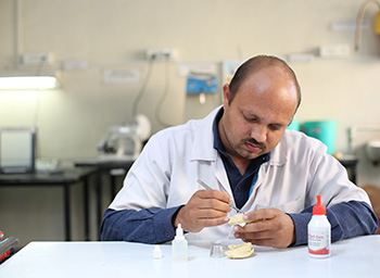 teachers working in laboratory